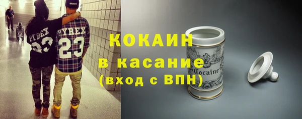 сатива Белокуриха