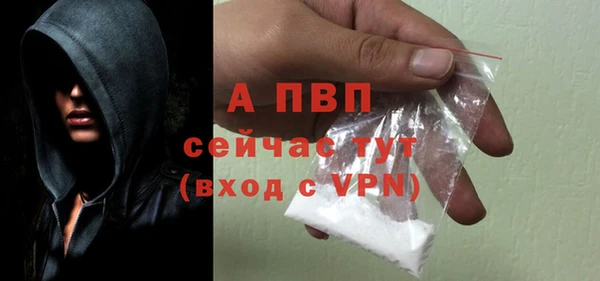 сатива Белокуриха
