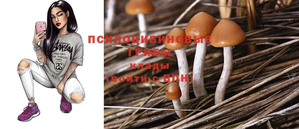 сатива Белокуриха