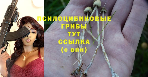 эйфоретик Беломорск