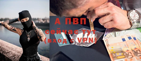 сатива Белокуриха