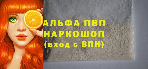 сатива Белокуриха