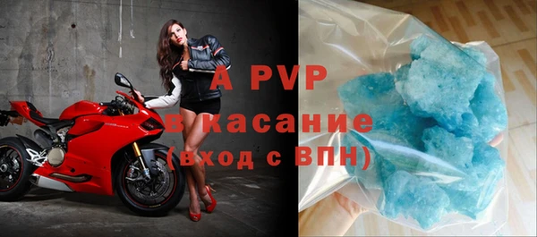 сатива Белокуриха