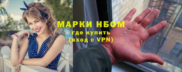 сатива Белокуриха