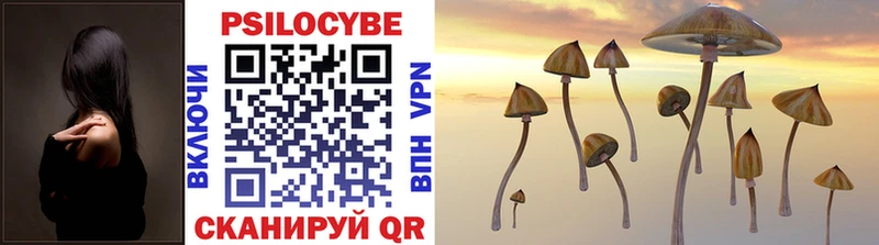 сколько стоит  hydra ссылка  Галлюциногенные грибы Cubensis  Курчалой 